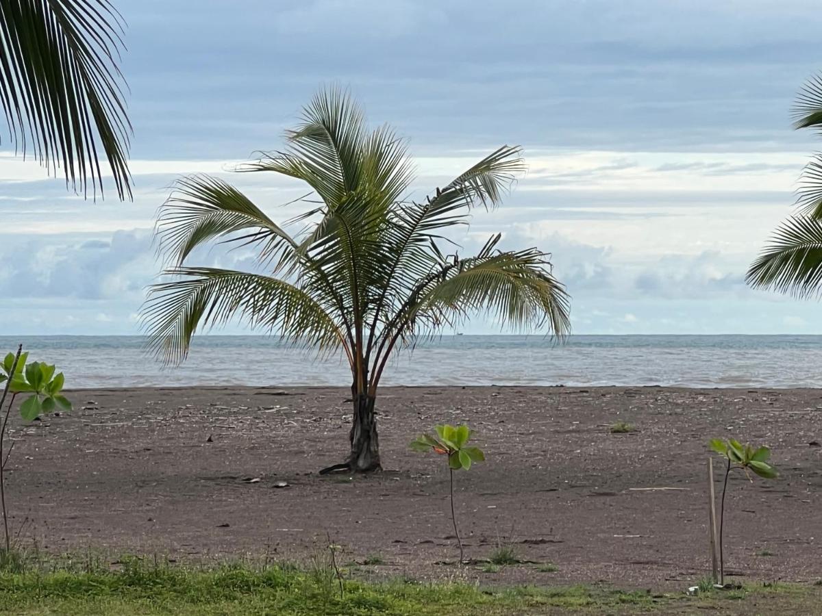 Appartement Beachfront Bahia Encantada L1 *